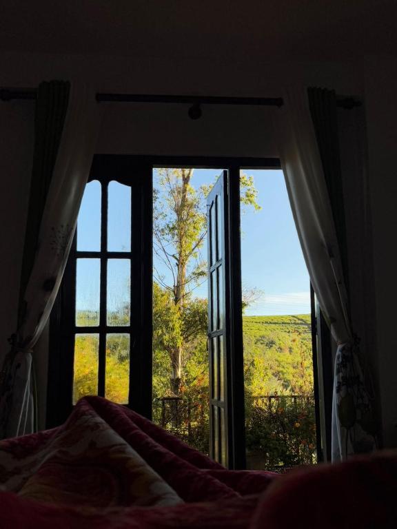 Green Gregory Villa Nuwara Eliya - 18