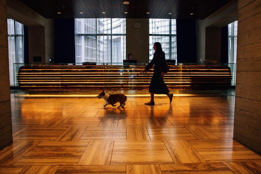 the DOUGLAS, Autograph Collection - Resim 11