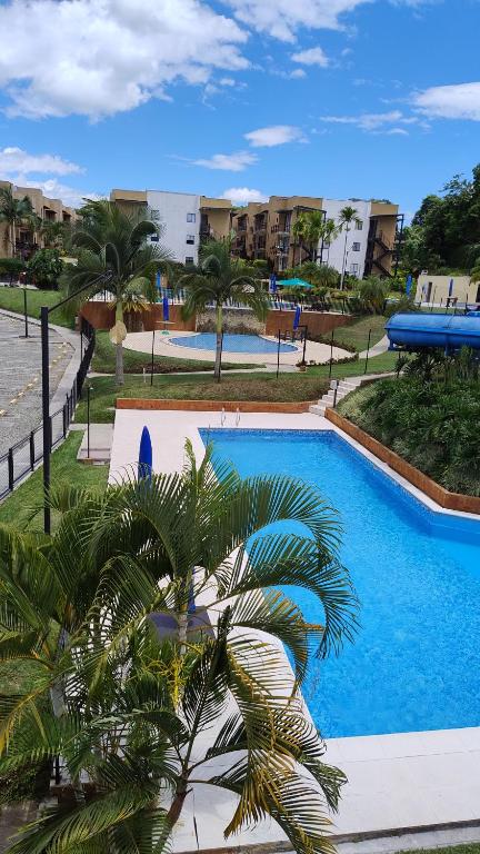 une grande piscine bordée d'un palmier dans l'établissement Apartamento eje cafetero Parque del cafe, à La Tebaida