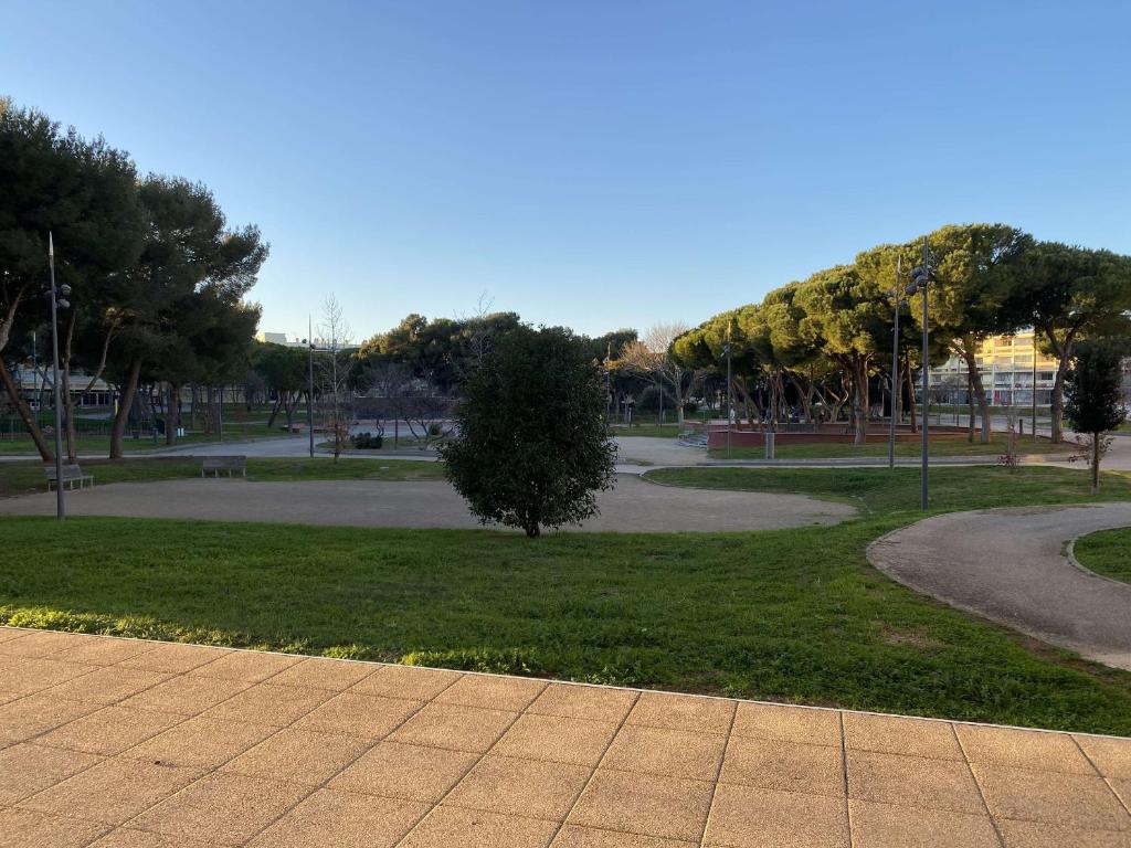 un parc avec un arbre et une promenade dans l'établissement Appartement T1 à Balaruc-les-Bains avec climatisation et parking - FR-1-553-284, à Balaruc-les-Bains