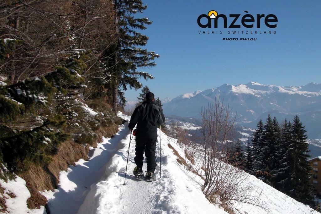 Outstanding chalet for groups, south facing, breathtaking views - all year round v zimě