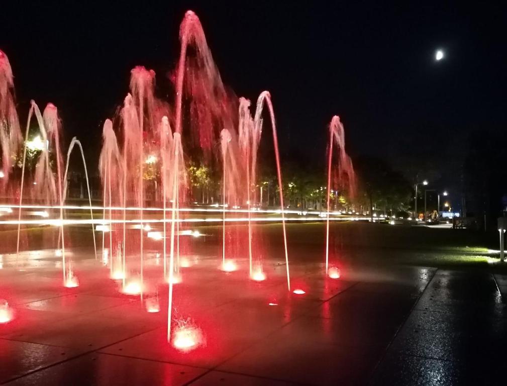 Zajímavé místo poblíž apartmánu