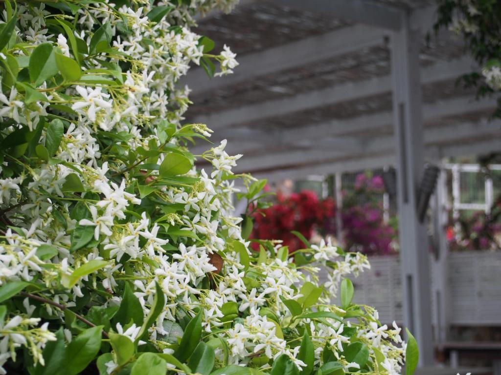 Lindian Jewel Hotel and Villas - 4