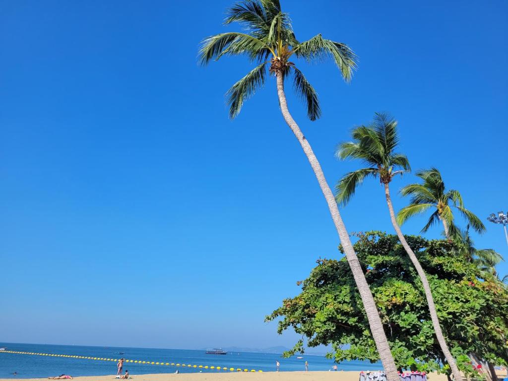 Sorot Jomtien Beach - Resim 42