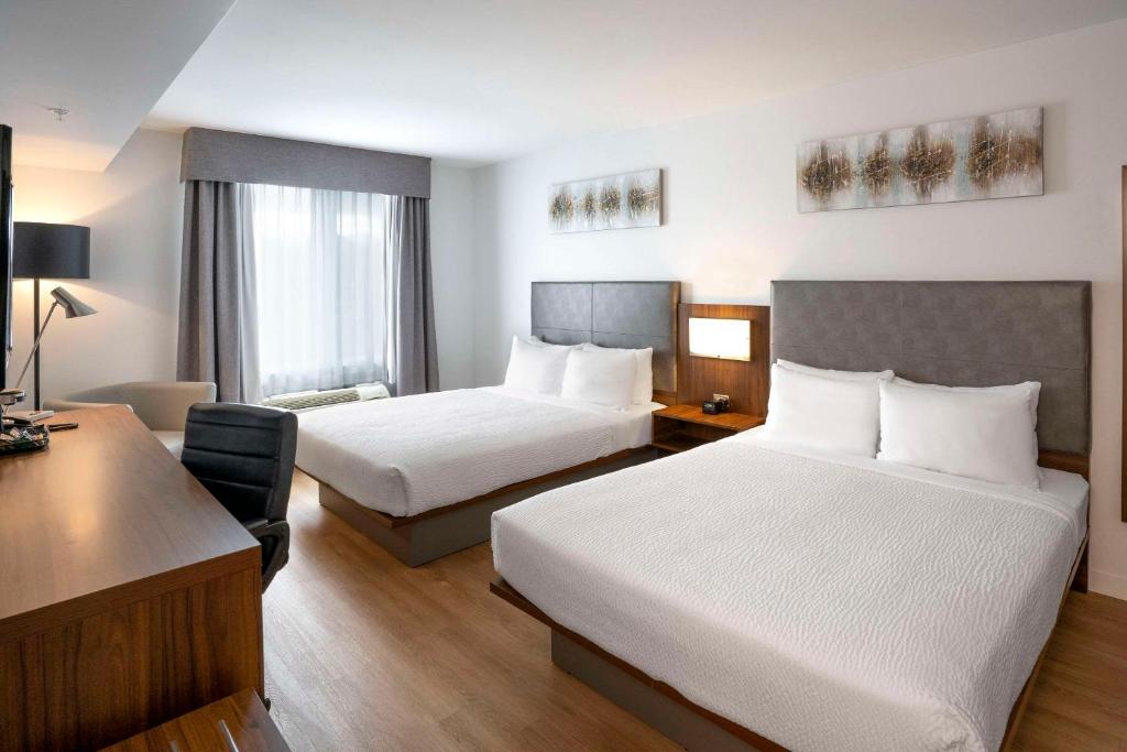 
Deluxe Queen Room with Two Queen Beds - Non Smoking/No Pets
