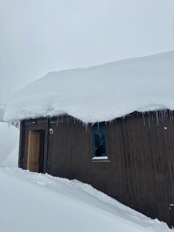 Cottage SuBree on Goderdzi v zimě
