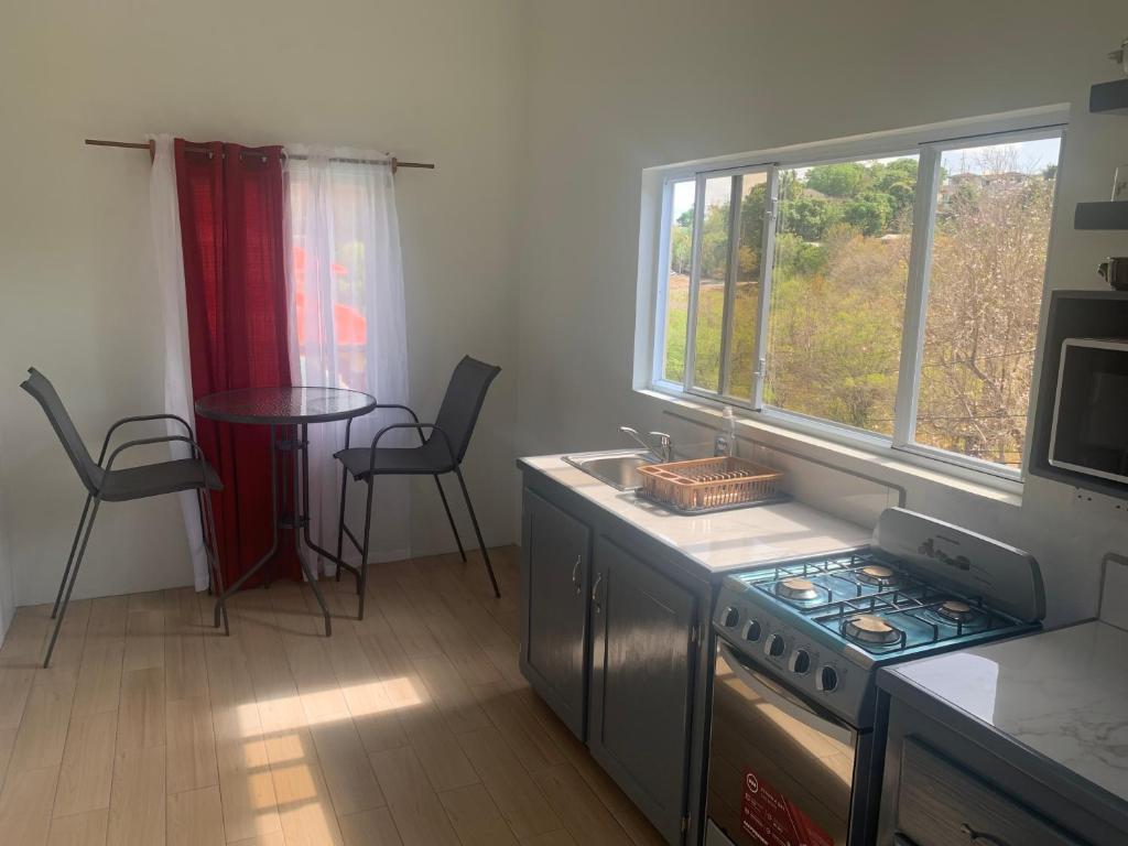 Kuchyň nebo kuchyňský kout v ubytování Hilltop Haven Apartment #1