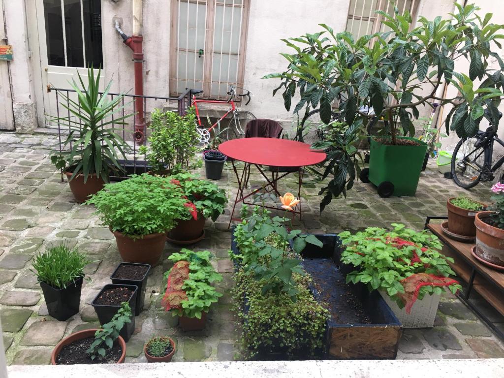 une terrasse avec des plantes en pot et une table avec des plantes dans l'établissement Une nuit au calme à Bastille, à Paris