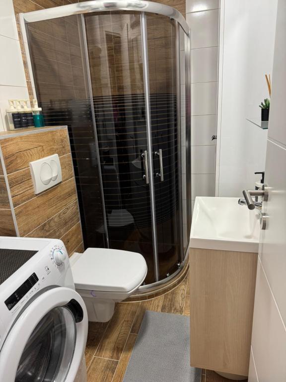 Koupelna v ubytování Apartmani Viver Vrnjačka Banja