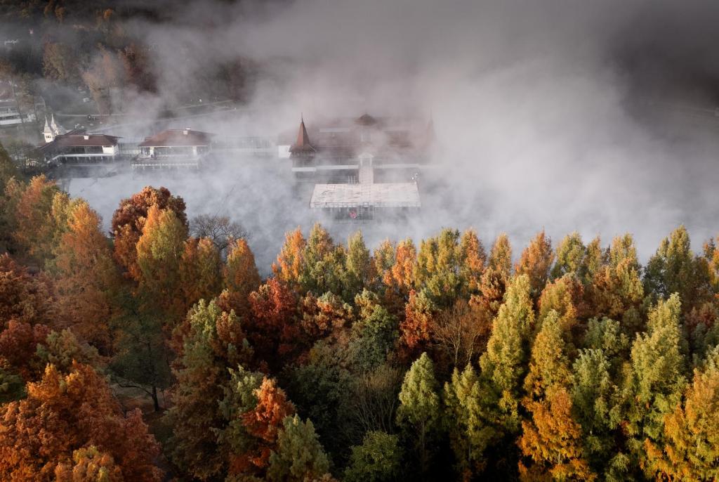 Le Primore Hotel & Spa - Resim 3