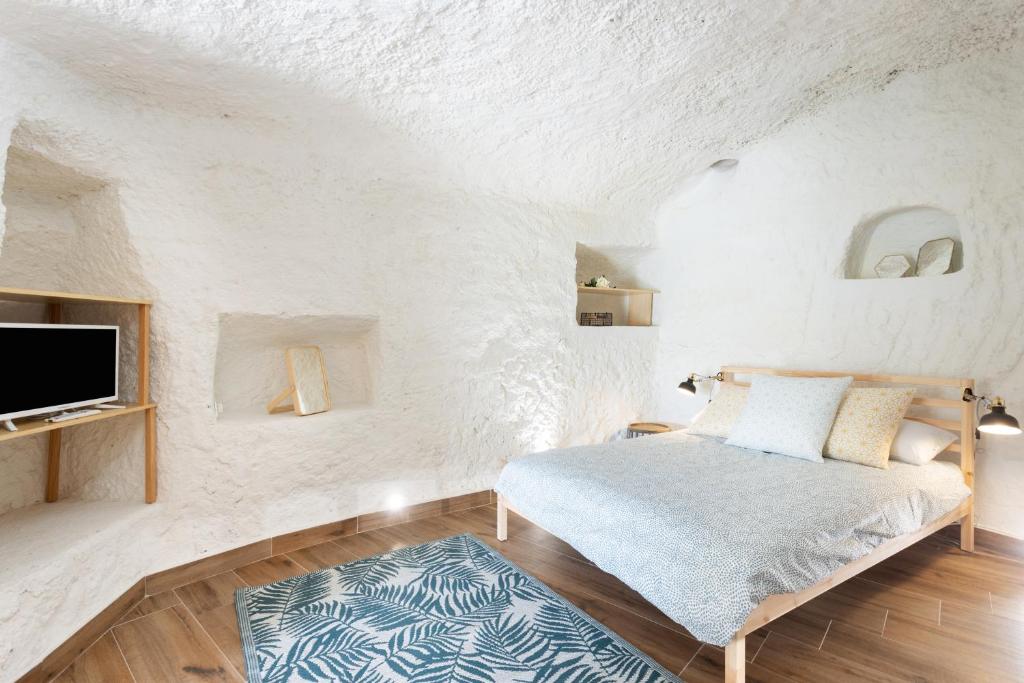 een slaapkamer met een bed en een tv aan de muur bij Home2Book Boutique Cave Retreat, Candelaria in Candelaria