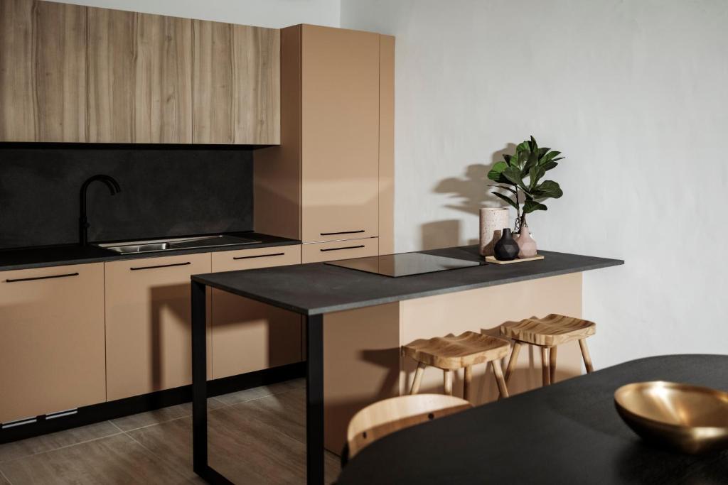 Kuchyň nebo kuchyňský kout v ubytování Ellul Living
