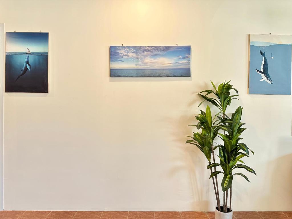 Fotografie z fotogalerie ubytování จิมเบ โคซี่เทล เขาหลัก Zimbei Cozytel Khaolak v destinaci Khao Lak
