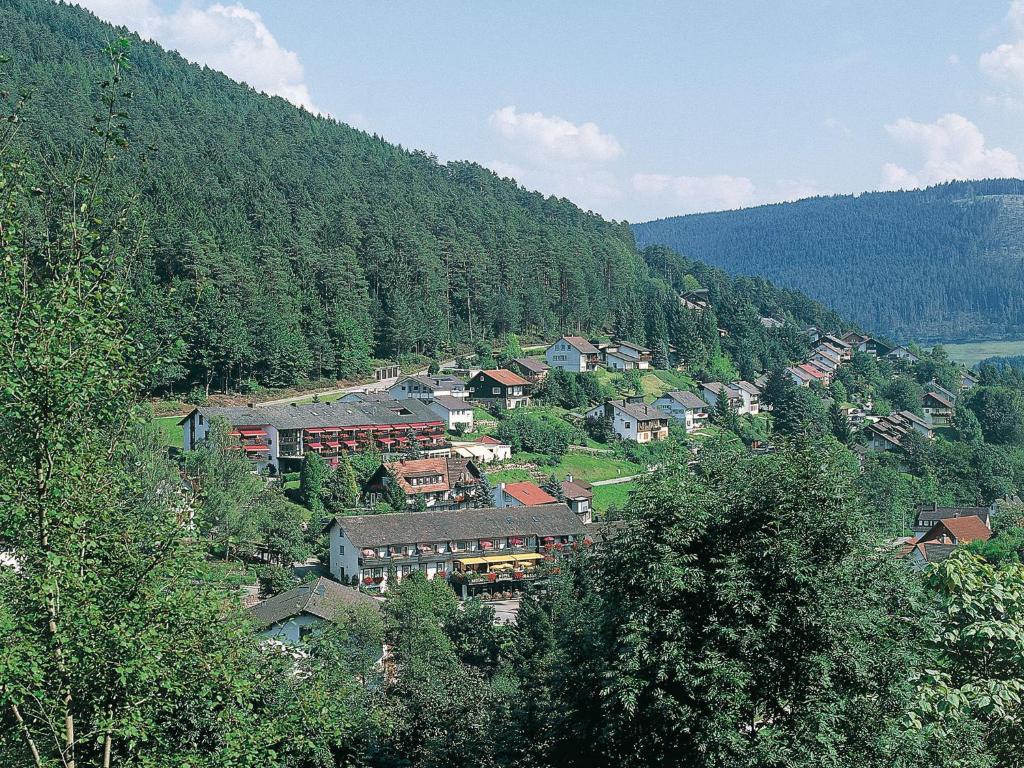 a small town in the middle of a mountain at Hotel Waldlust in Baiersbronn
