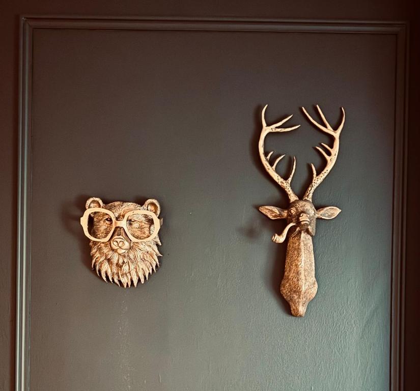 Zvířata v apartmánu nebo okolí