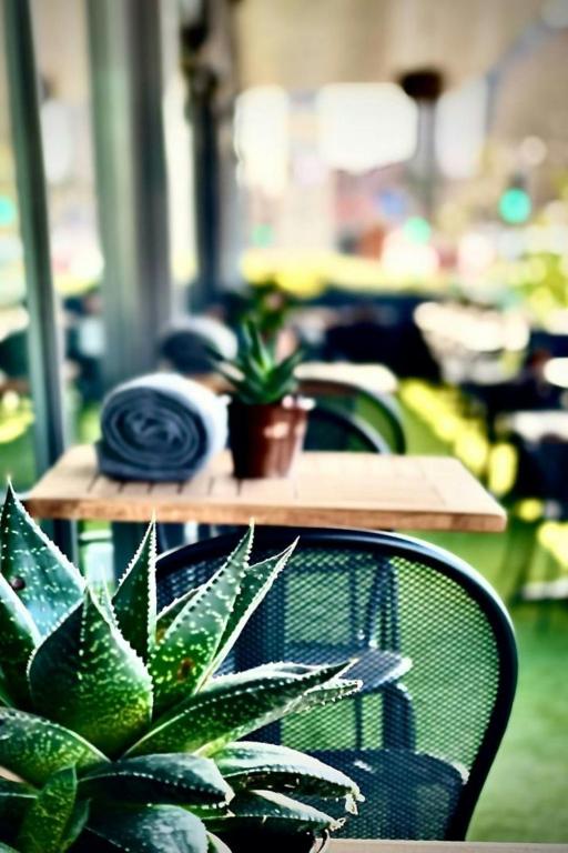 AC Hotel by Marriott Manchester Salford Quays - Resim 44