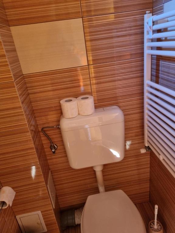 Koupelna v ubytování Casa Monika Ciocarliei