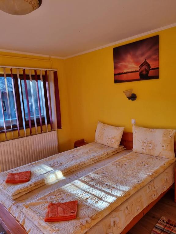 Postel nebo postele na pokoji v ubytování Casa Monika Ciocarliei