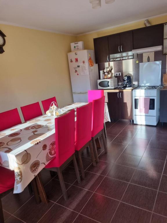 Kuchyň nebo kuchyňský kout v ubytování Casa Monika Ciocarliei