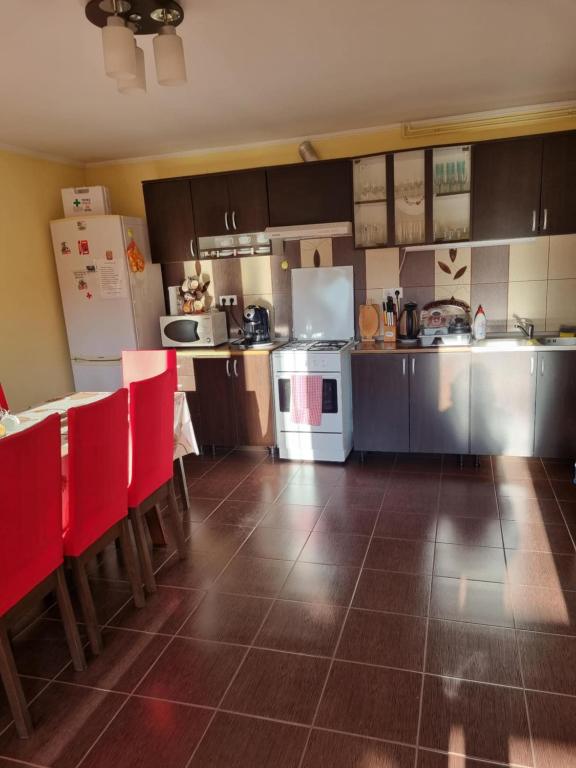 Kuchyň nebo kuchyňský kout v ubytování Casa Monika Ciocarliei