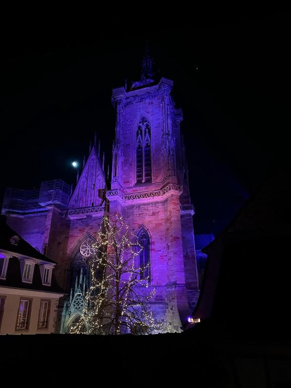 Le Nid de la Cathédrale – photo 25