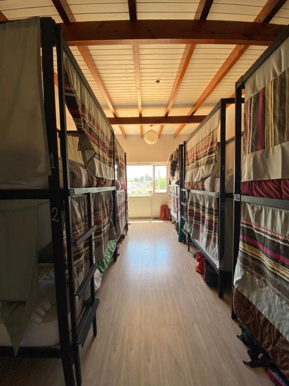 Palanda nebo palandy na pokoji v ubytování Roots Backpackers