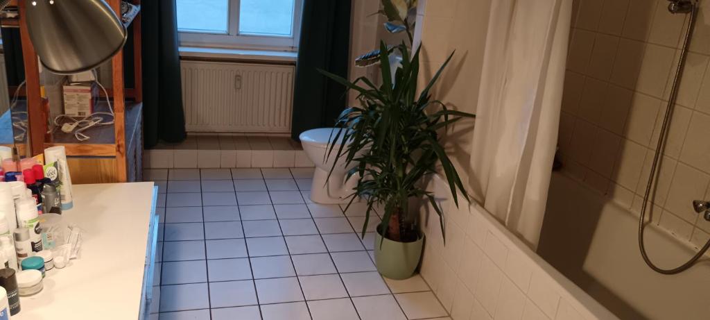 Koupelna v ubytování Sharing bedroom with Host near Alexanderplatz
