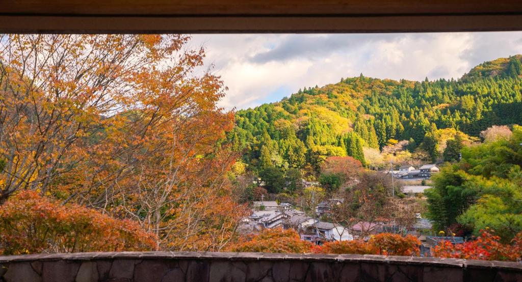 Příroda nedaleko hotelu