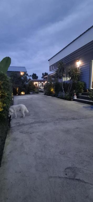 Fotografie z fotogalerie ubytování ฟ้ารีสอร์ต FAH Resort v destinaci Ban Nong Khang