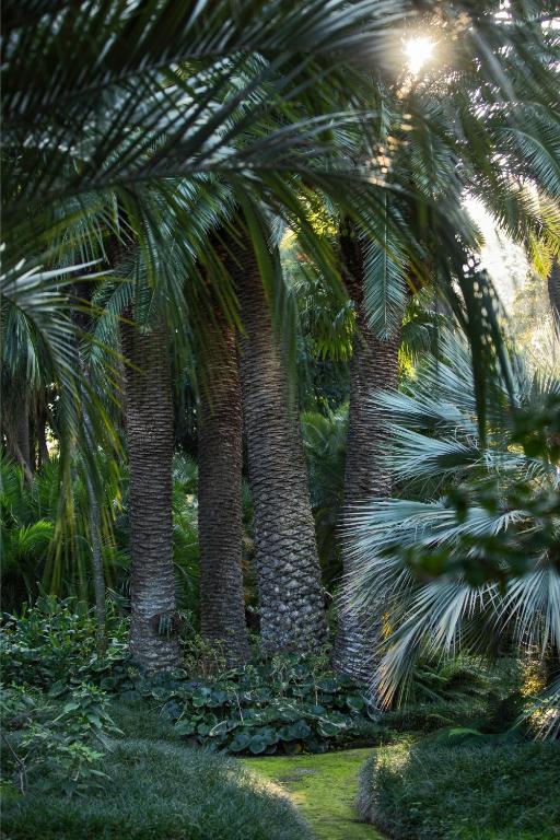 Zahrada ubytování Parco dei Principi
