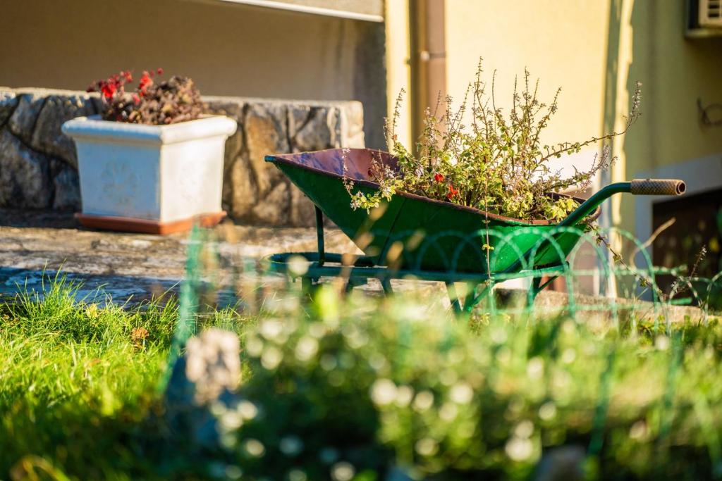 Zahrada ubytování Franelli in Zagore - Istrien