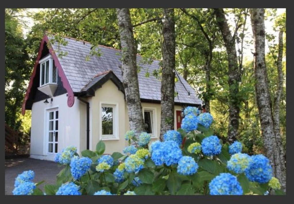 a small house with blue flowers in front of it at Cute cottage for short getaway in Cross Mahon