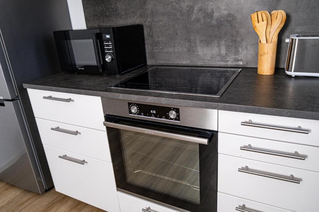 Kuchyň nebo kuchyňský kout v ubytování Apartment 1