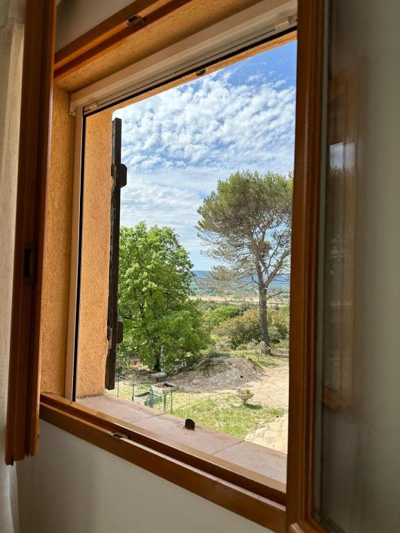 a window with a view of a tree at Les Cigales in Villelaure