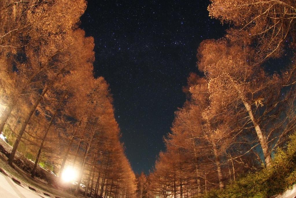 Fotografie z fotogalerie ubytování Yatsugatake Kogen Lodge v destinaci Minamimaki
