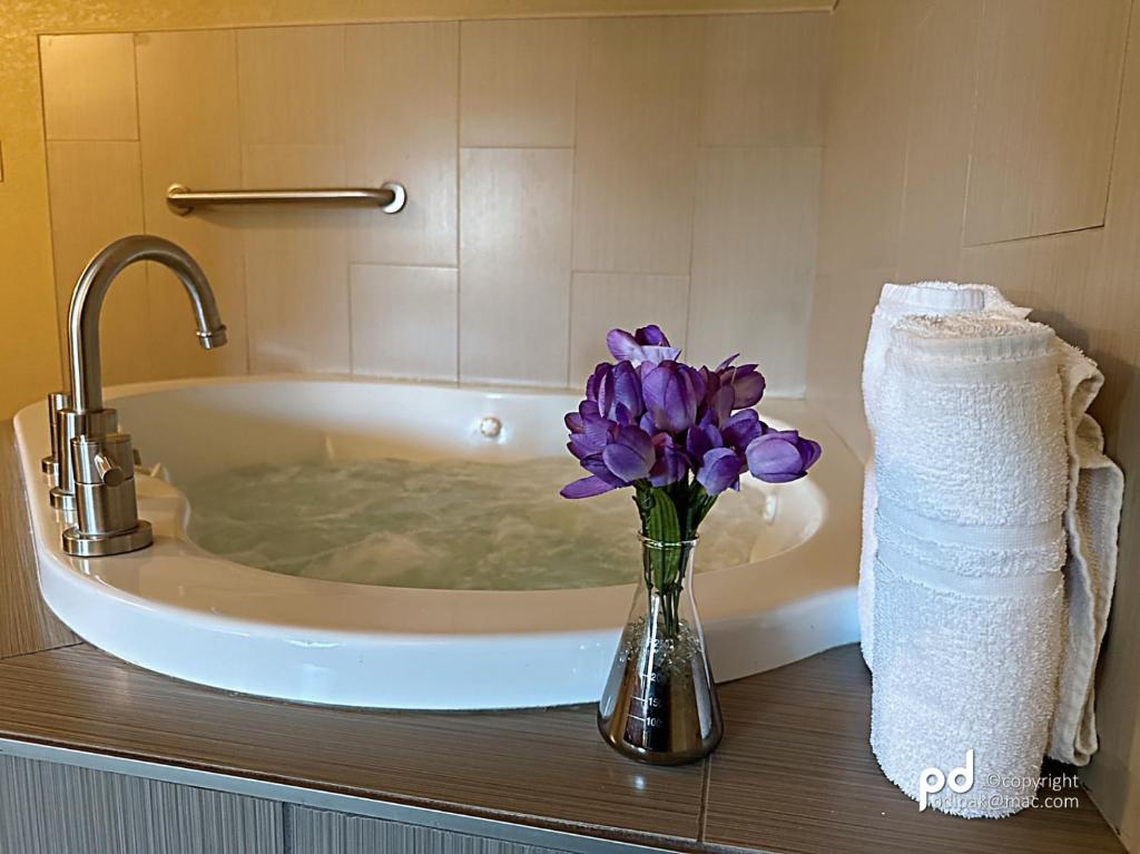 Koupelna v ubytování Travel Inn & Suites Flemington
