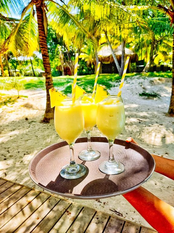 Mejores Hoteles en Isla Grande | Islas del Rosario 627014194
