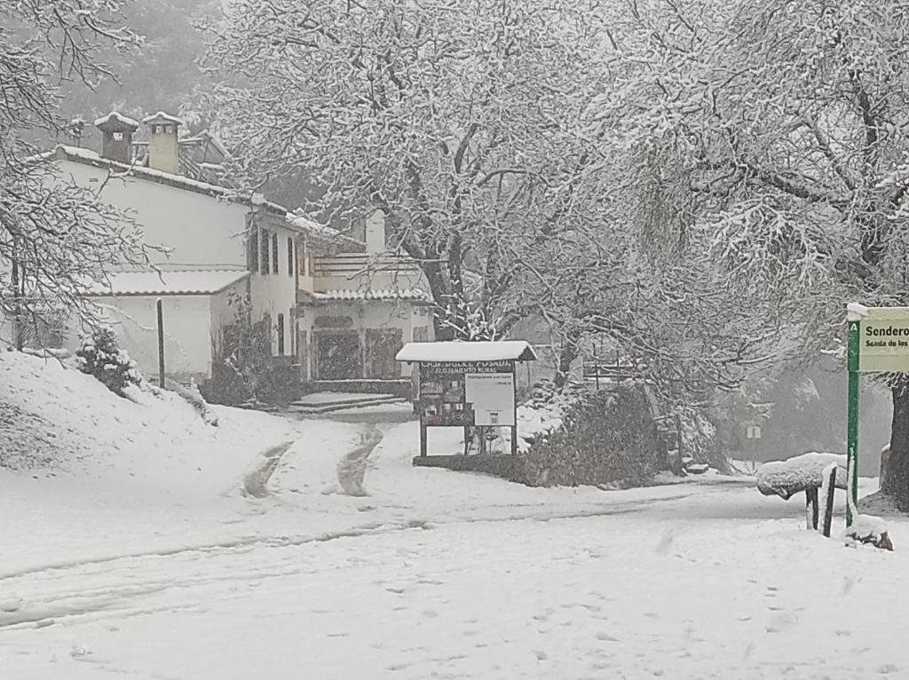 Dulce Posada v zimě