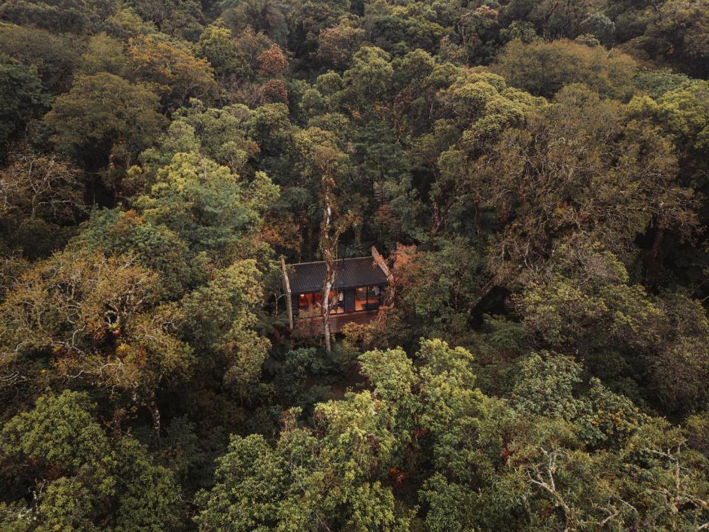 an aerial view of a house in the middle of a forest at Casa Caúna in São Francisco de Paula