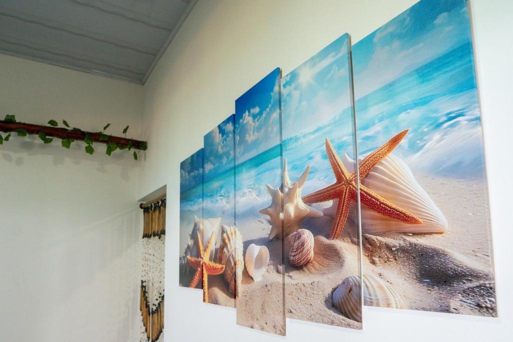 a wall with four pictures of the beach and starfish at Hostal barú in Bolivar