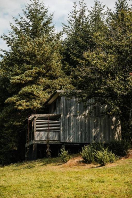 un vieux hangar en bois dans un champ avec des arbres dans l'établissement Gîte de France Jeanne 4 épis - Gîte de France 4 personnes MAE-1491, à Palazinges