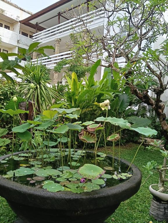 Zahrada ubytování Sari Bunga Hotel Legian Kuta Bali