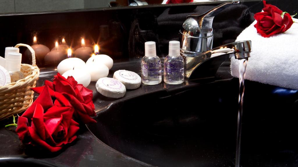 Hotel Diana Jardin et Spa - 16