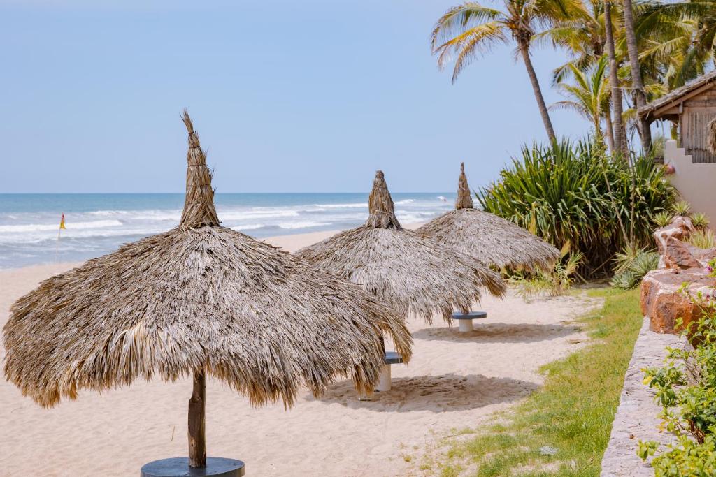 a group of straw umbrellas on the beach at Casa Lily in Mazatlán