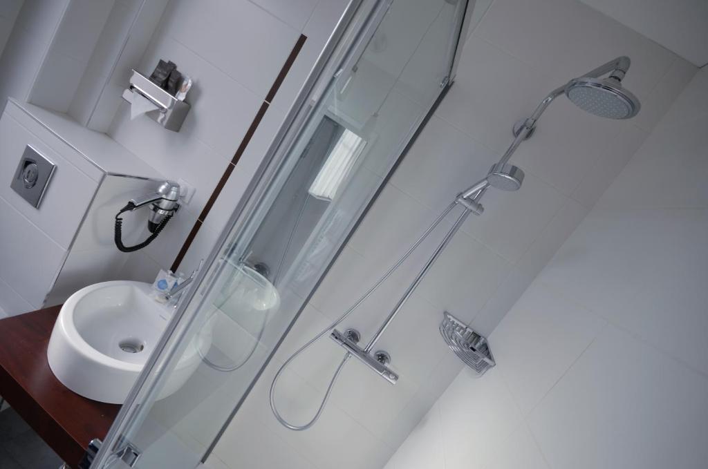 Best Western Dijon Centre Gare - Resim 7