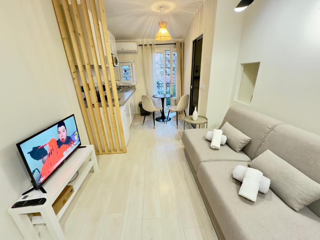 un salon avec un canapé et une télévision à écran plat dans l'établissement Joli Studio climatisé au calme, à Nice