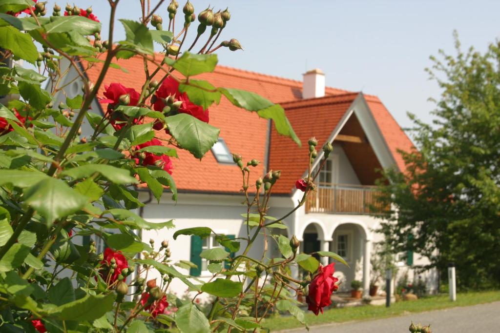 Zahrada ubytování Gäste- und Vitalhaus Sauer