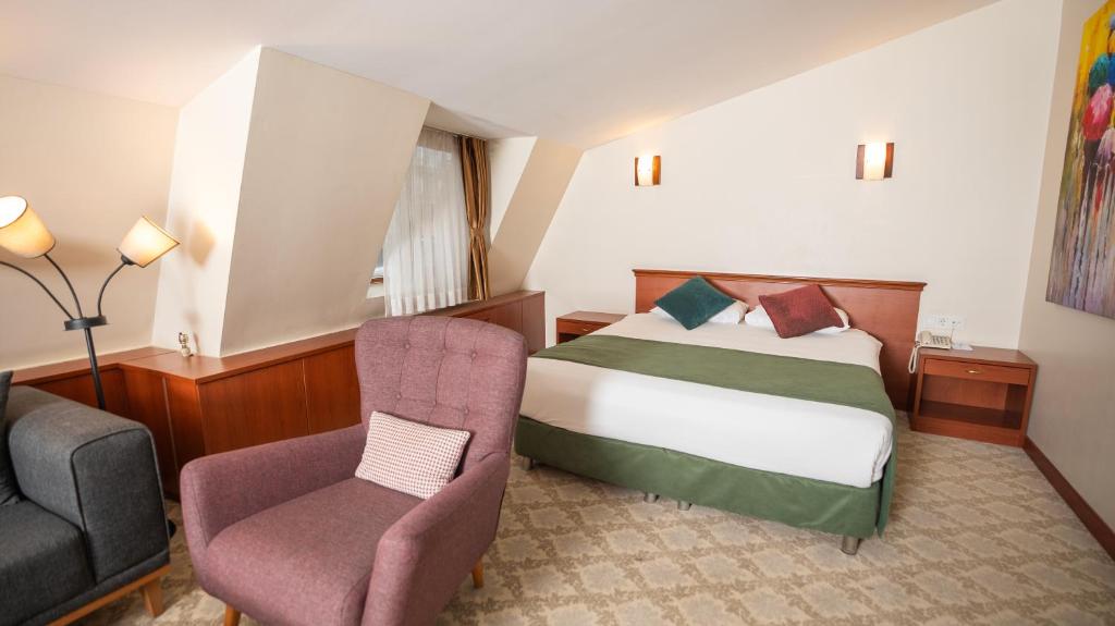 una habitación de hotel con una cama y una silla en Golden Siyav Hotel, en Estambul