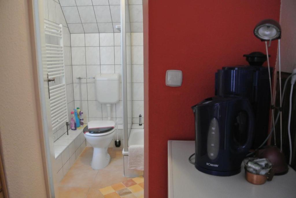 Ferienwohnungen Treseburg "Zur Bodehexe" - 9