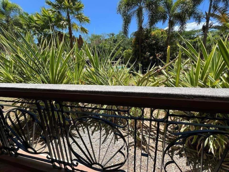 Zahrada ubytování 2-4pax Condo Unit in Subic Bay